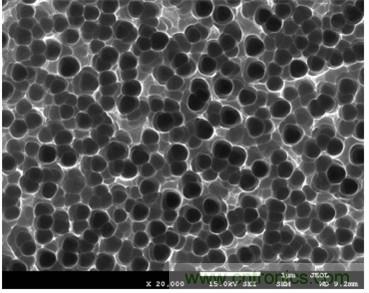 黑硅表面微观结构