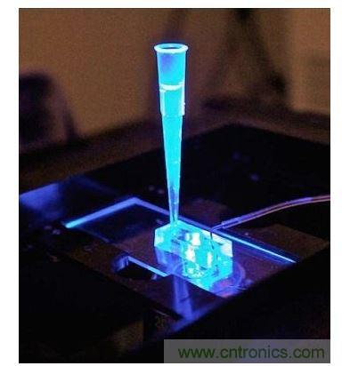 加州柏克莱大学所开发的“心脏单芯片”用以放置从成人干细胞产出的人类心脏组织，该系统有一天可望替代实验动物应用于药物安全筛检