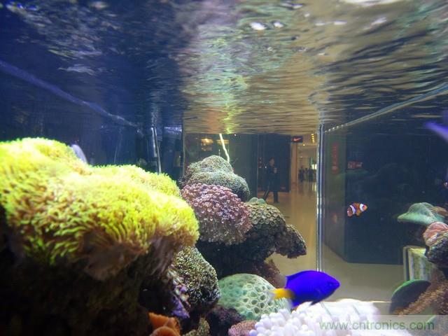 Hi-Fi革命！vivo X6 Plus深度评测：够快才畅快