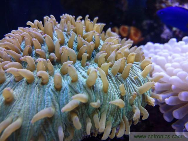 Hi-Fi革命！vivo X6 Plus深度评测：够快才畅快