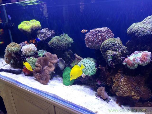 Hi-Fi革命！vivo X6 Plus深度评测：够快才畅快