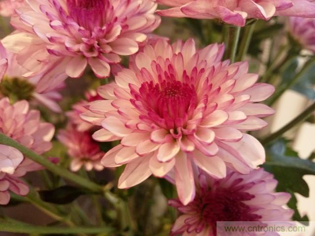 Hi-Fi革命！vivo X6 Plus深度评测：够快才畅快