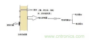 仿生传感器的定义、原理、分类及应用