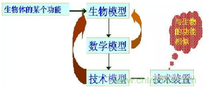 仿生传感器的定义、原理、分类及应用
