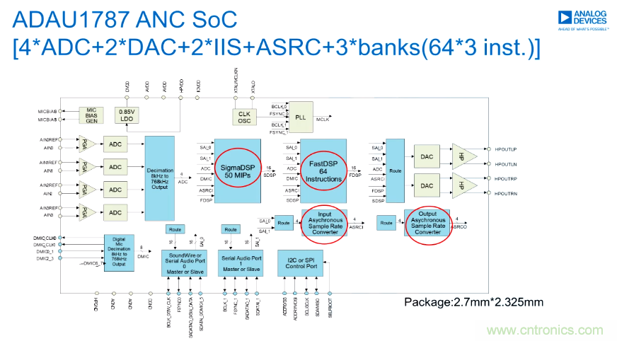 一场&ldquo;争宠&rdquo;耳朵的竞赛，刚刚开始