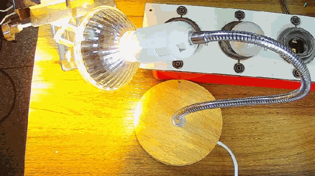 电灯泡内通有交流电，为什么看不到灯泡在闪烁？