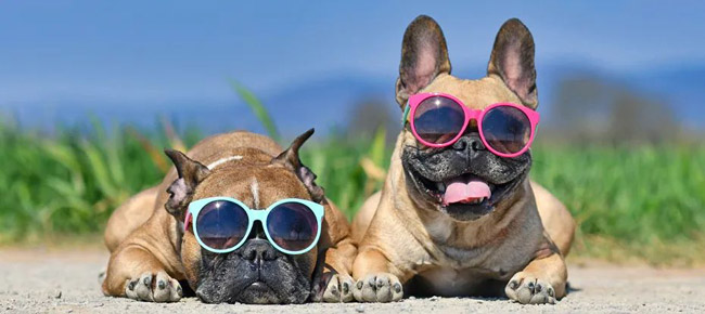 利用先进的电源管理技术满足5G通信和数据中心应用需求 利用先进的电源管理技术满足5G通信和数据中心应用需求