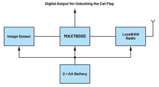 卷积神经网络的硬件转换：什么是机器学习？——第三部分