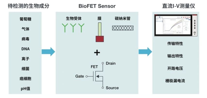 FET 生物传感器的直流I-V 特性研究