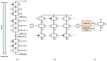  图3.人体皮肤的三种主要RC分层模型：(a) Tregear、(b) Lykken、(c) Montague