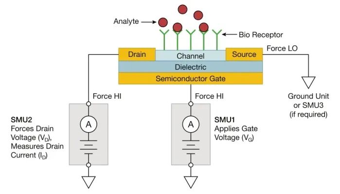 FET 生物传感器的直流I-V 特性研究