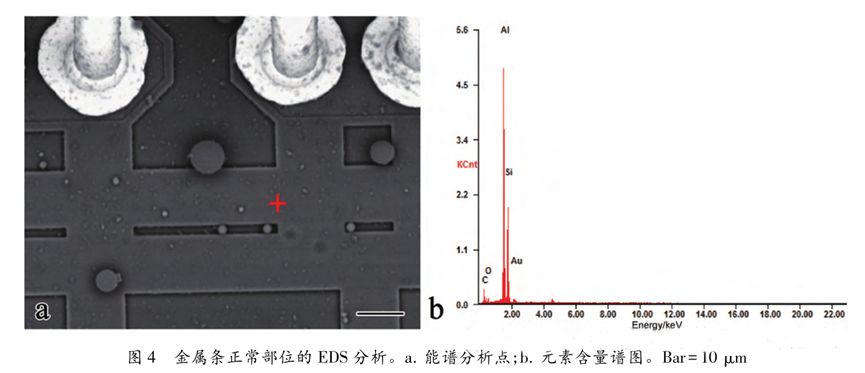 超声波清洗暗藏"芯片密码":二氧化硅颗粒撞击机理揭秘 超声波清洗暗藏"芯片密码":二氧化硅颗粒撞击机理揭秘