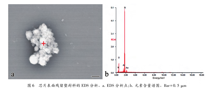 超声波清洗暗藏"芯片密码":二氧化硅颗粒撞击机理揭秘 超声波清洗暗藏"芯片密码":二氧化硅颗粒撞击机理揭秘