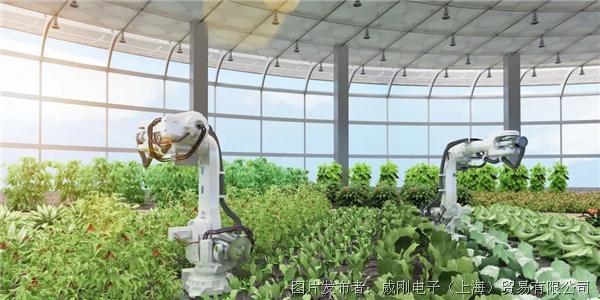 智慧农业大有可为，“数字种地”更轻松