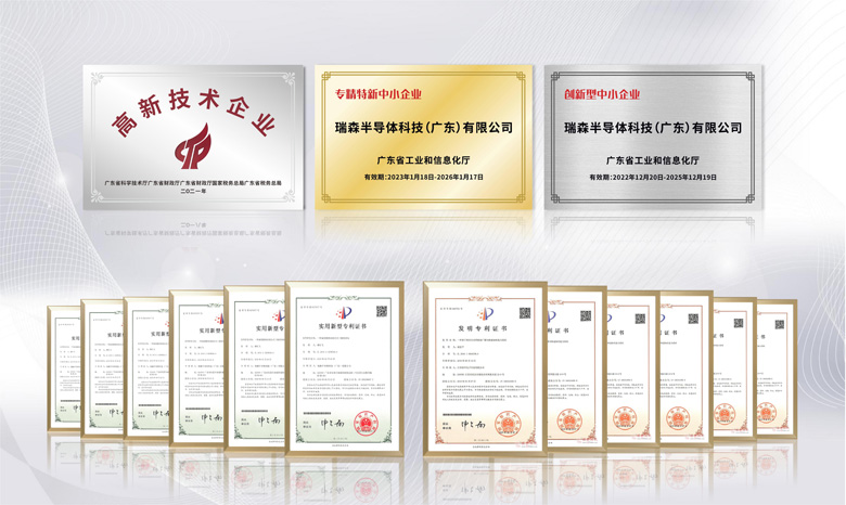 热烈庆祝瑞森半导体成立10周年